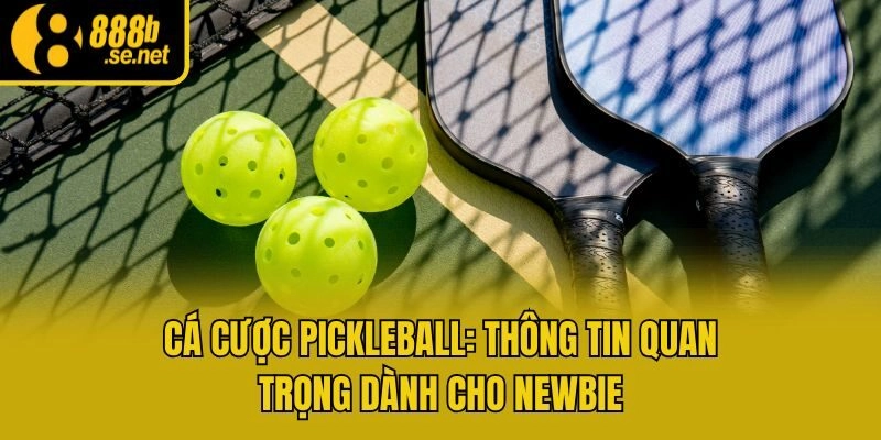 Cá Cược Pickleball: Thông Tin Quan Trọng Dành Cho Newbie