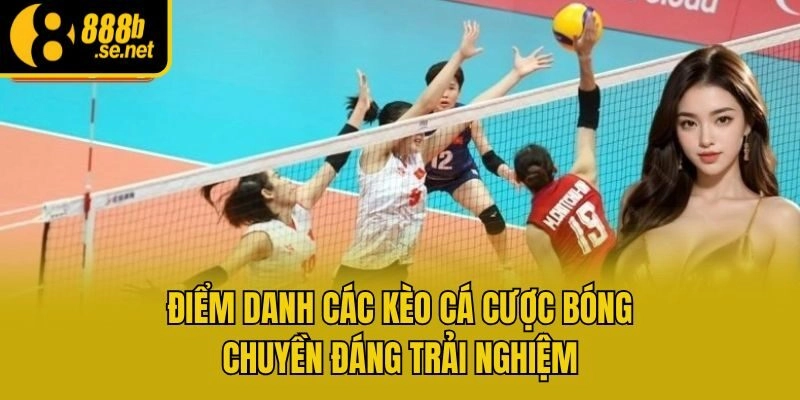 Điểm danh các kèo cá cược bóng chuyền đáng trải nghiệm