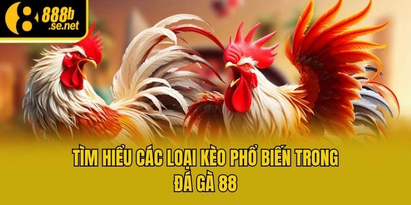 Tìm hiểu các loại kèo phổ biến trong đá gà 88