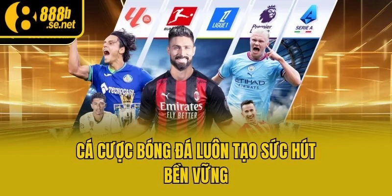 Cá cược bóng đá luôn tạo sức hút bền vững