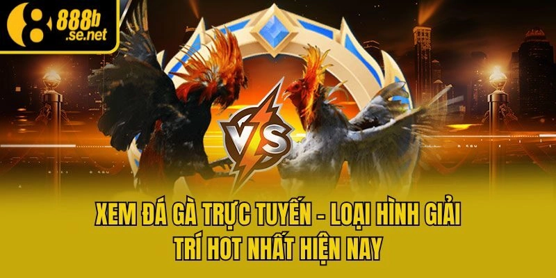 Xem Đá Gà Trực Tuyến 888b – Tận Hưởng Mọi Tiện Ích
