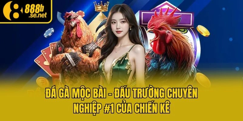 Đá Gà Mộc Bài – Đấu Trường Chuyên Nghiệp #1 Của Chiến Kê