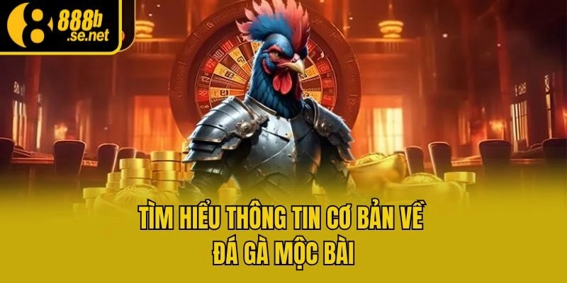 Tìm hiểu thông tin cơ bản về đá gà Mộc Bài