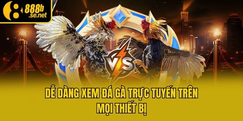 Dễ dàng xem đá gà trực tuyến trên mọi thiết bị