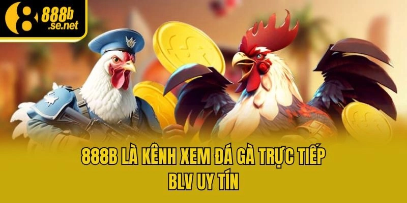 888b là kênh xem đá gà trực tiếp BLV uy tín