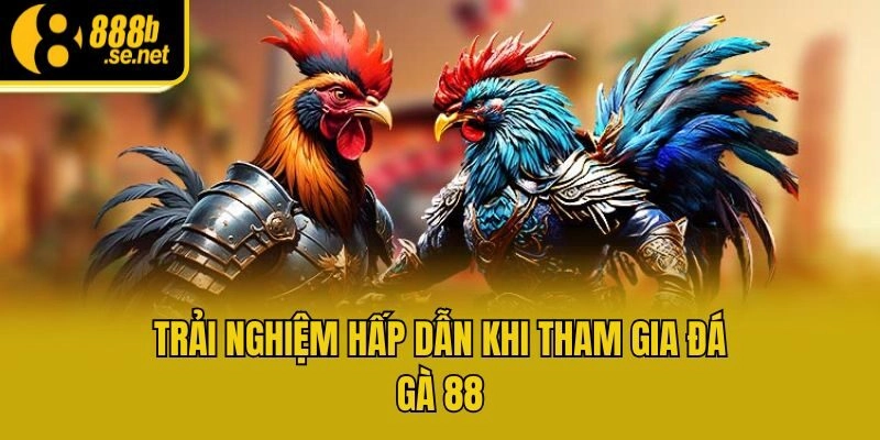 Trải nghiệm hấp dẫn khi tham gia đá gà 88