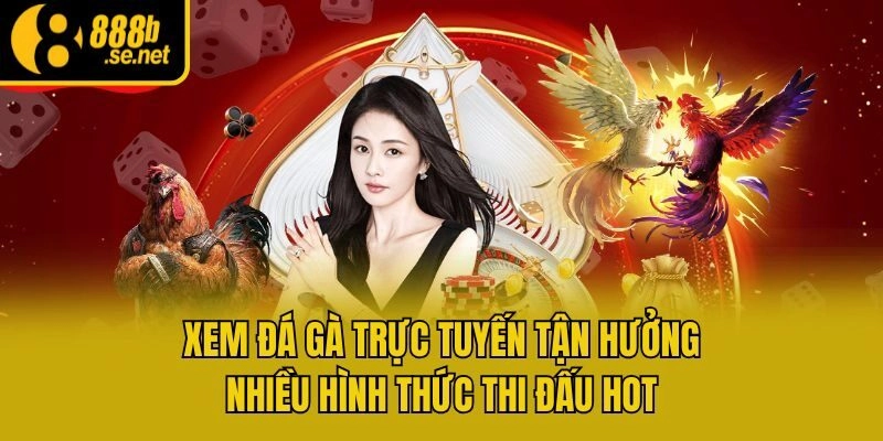 Xem đá gà trực tuyến - Loại hình giải trí hot nhất hiện nay